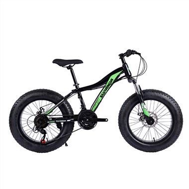 Aluminium Fat Tire Tsheb tuam