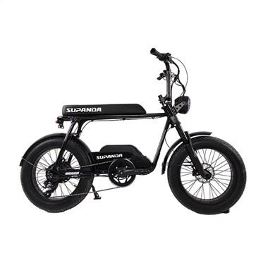 Fatbike 750 wb