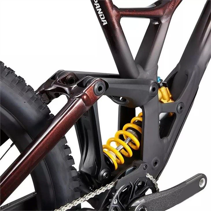 women's downhill mountain bike8