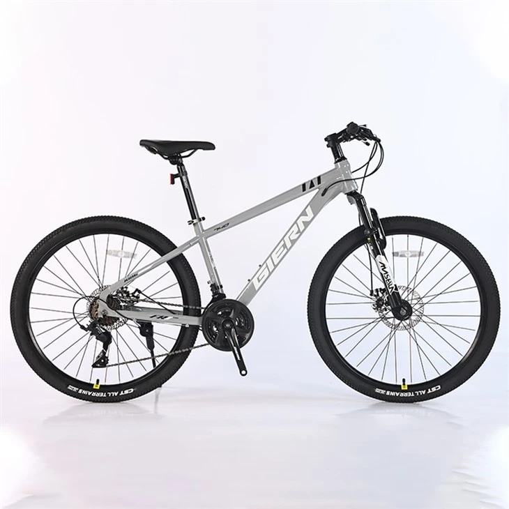 24 Speed MTB