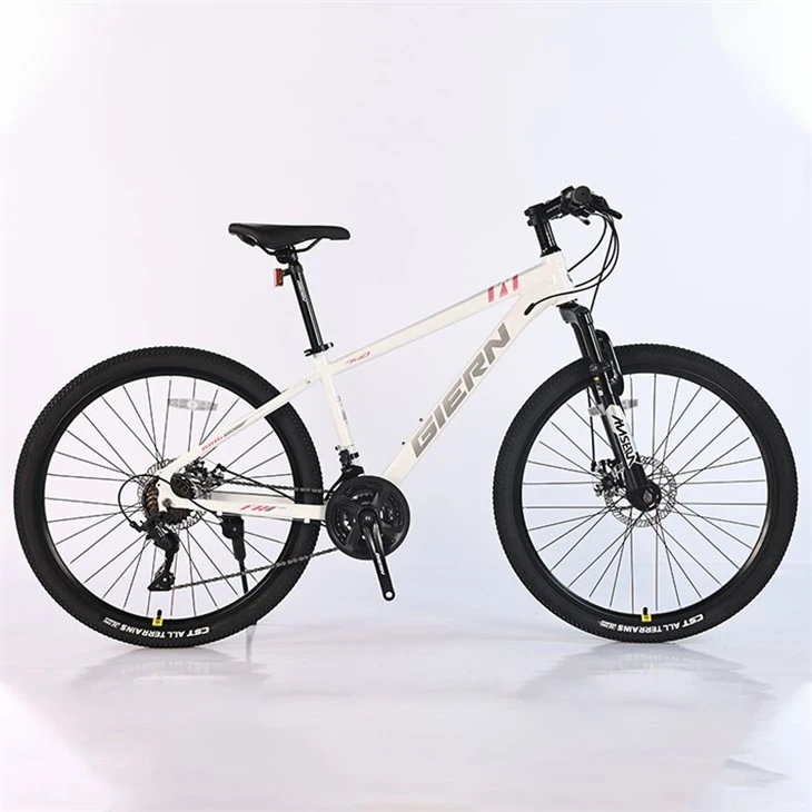 24 Speed MTB