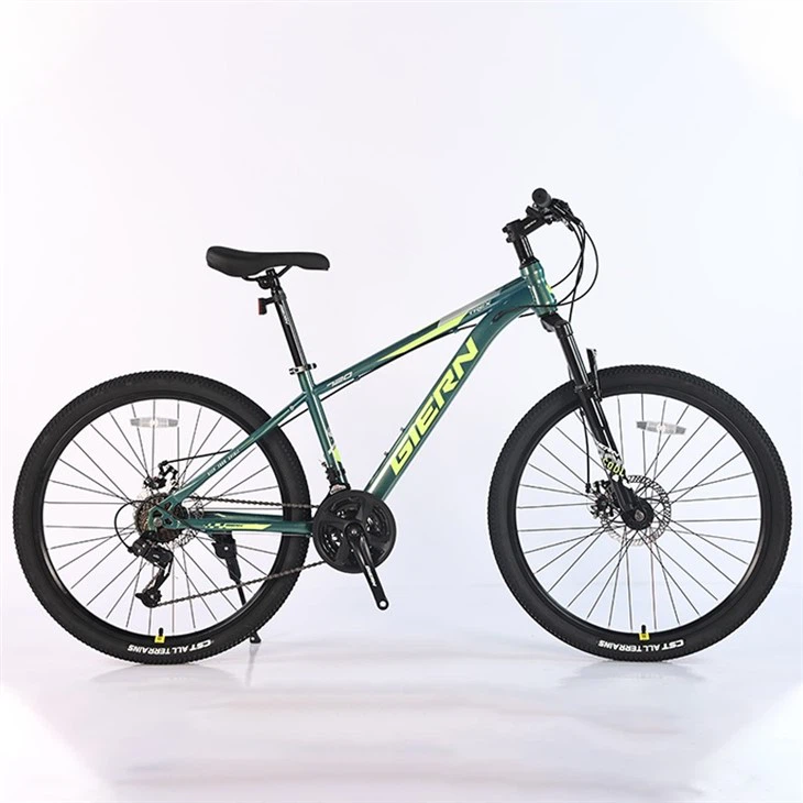 26 Mtb Hardtail Frame