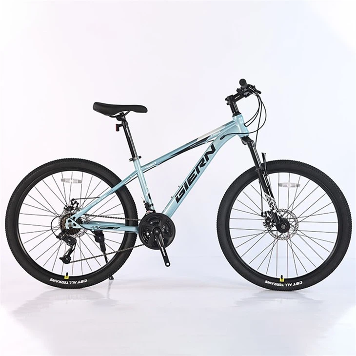 26 Mtb Hardtail Frame