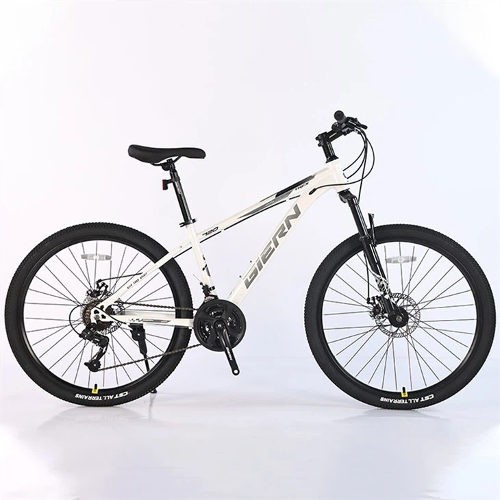 26 Mtb Hardtail Frame