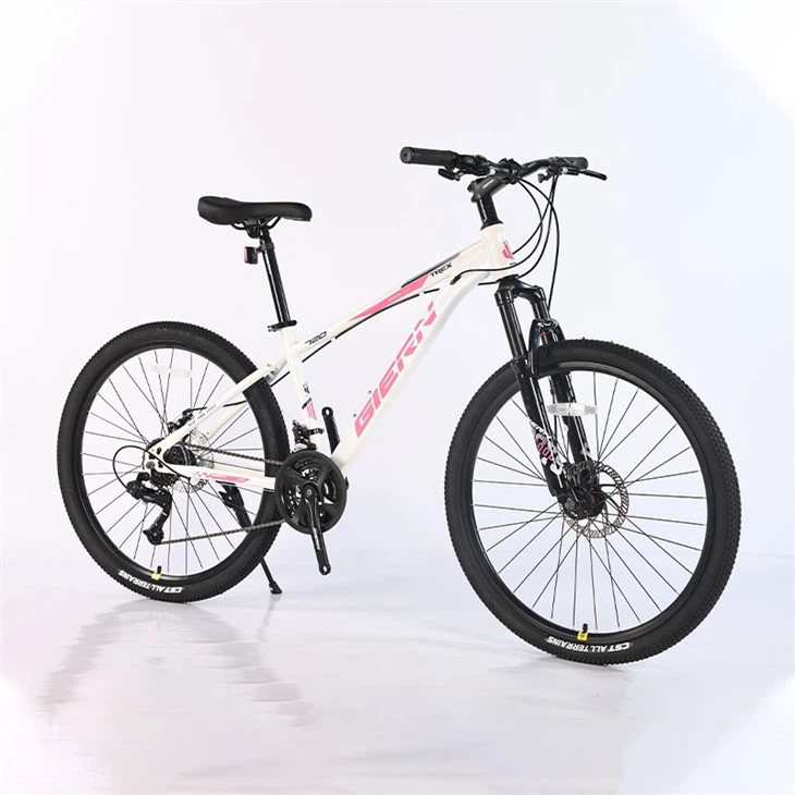 26 Mtb Hardtail Frame