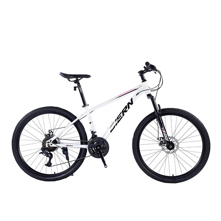 Hardtail Race Bike