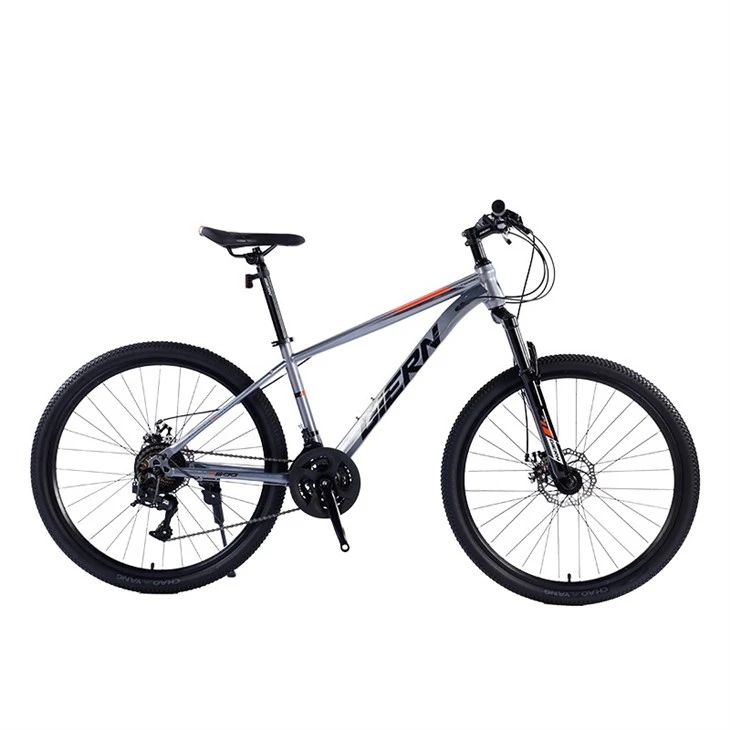 Hardtail Race Bike