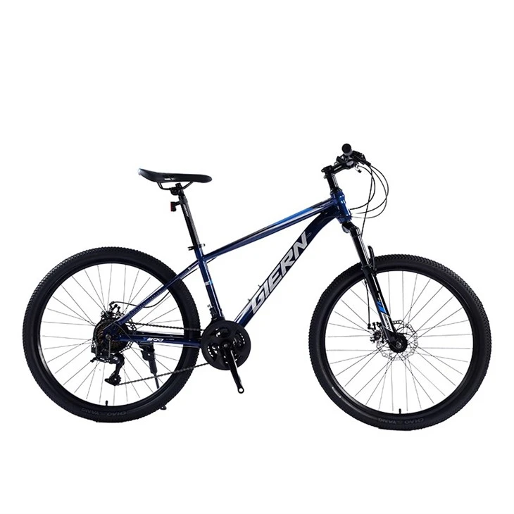 Hardtail Race Bike
