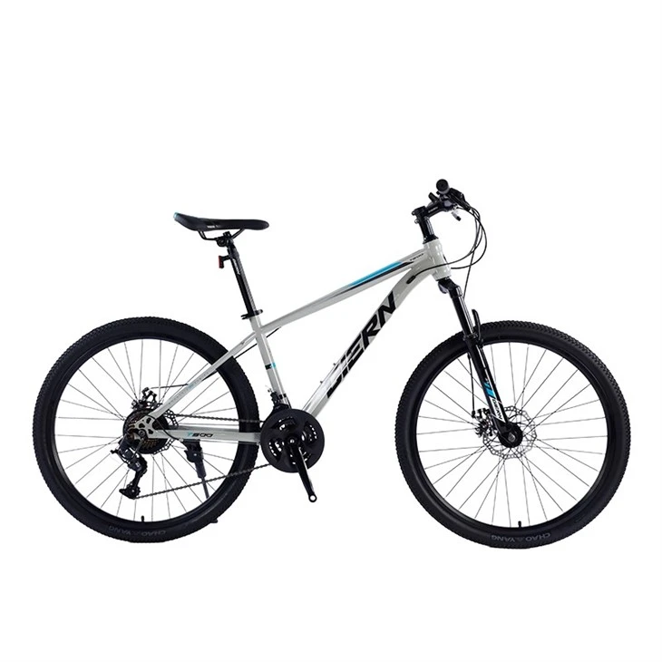 Hardtail Race Bike