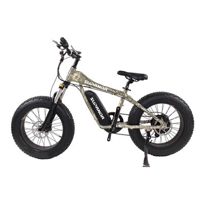 Roj teeb Powered Mountain Bike