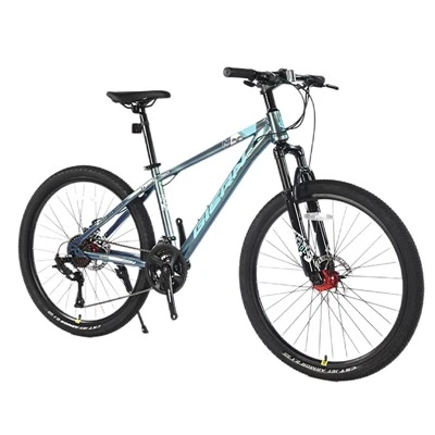 Hardtail Roob Bike For Commuting